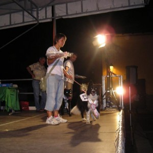 6 settt 2008 premiazioni titolo di miss san girgio dog!