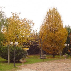 panoramica fronte casa - autunno