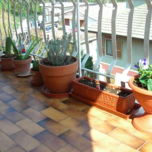 parte del mio balcone