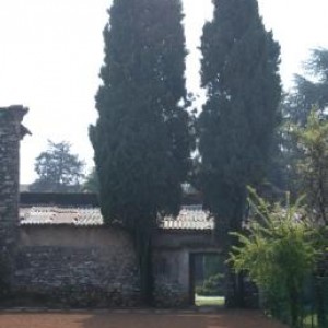 cipressi terzo giardino comp