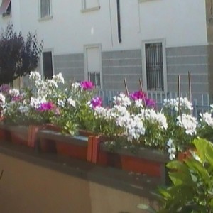 balcone 2011 005