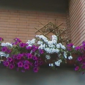 balcone 2011 014