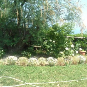 Primavera 2011 007