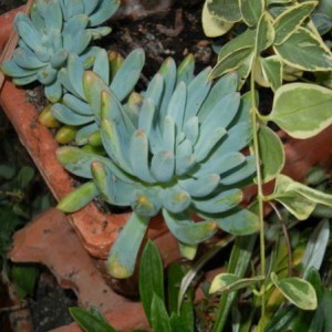 new pics 052