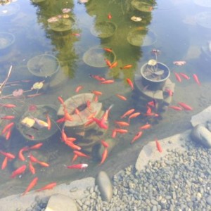 DSCN1119