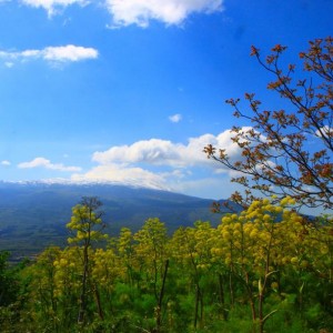 Etna