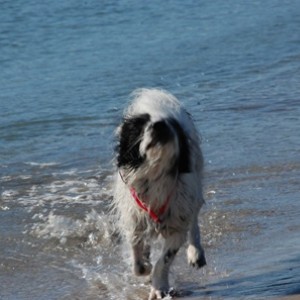 fammi strizzare un po'!