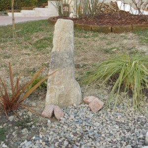 DSCN1411