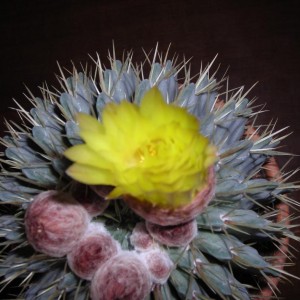 DSCN4274