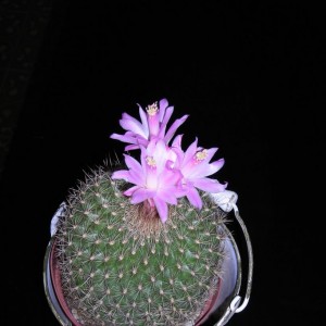 DSCN4188