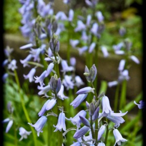 20120413 annuali