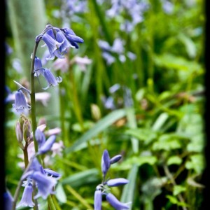 20120413 annuali