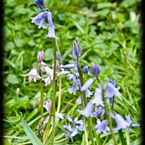20120413 annuali