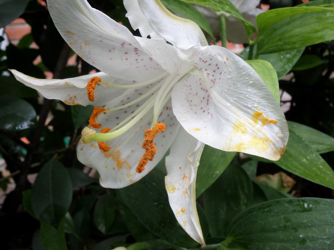 011