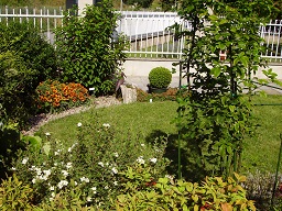 014   panoramica da laburno alla paniculata laggiù in fondo.