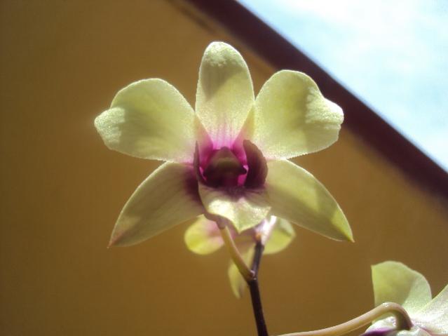 015