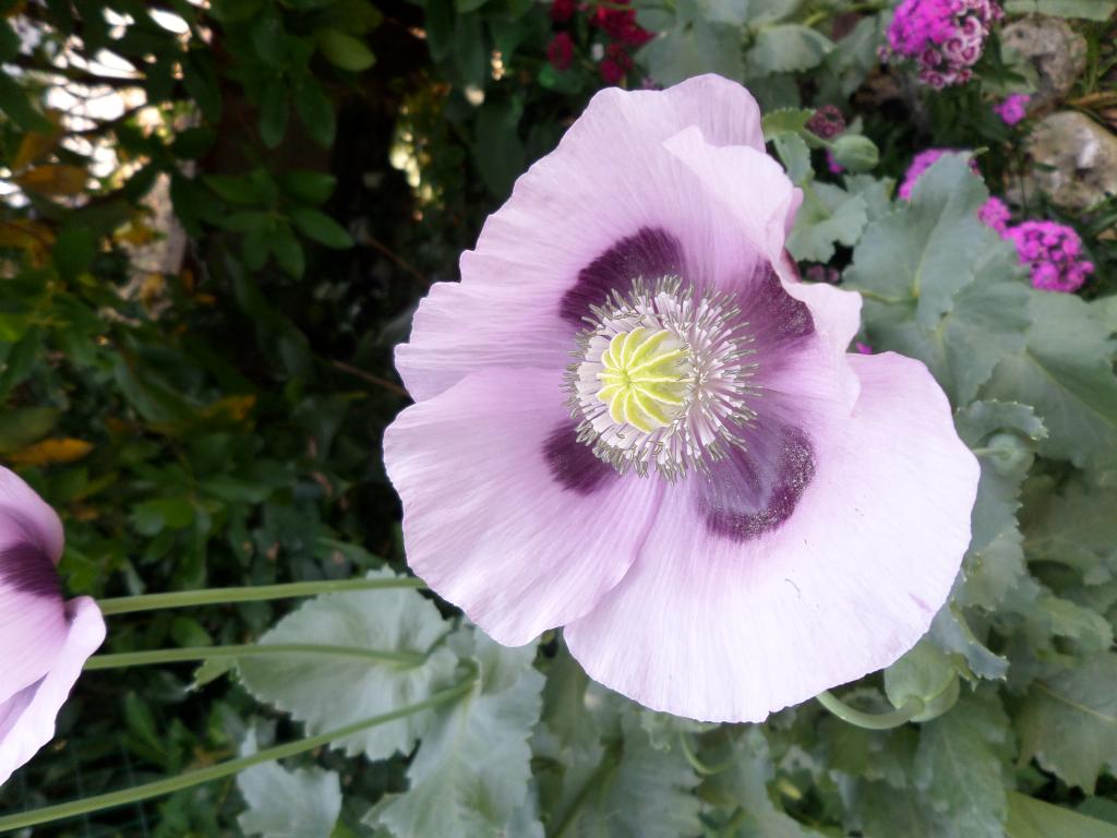 022