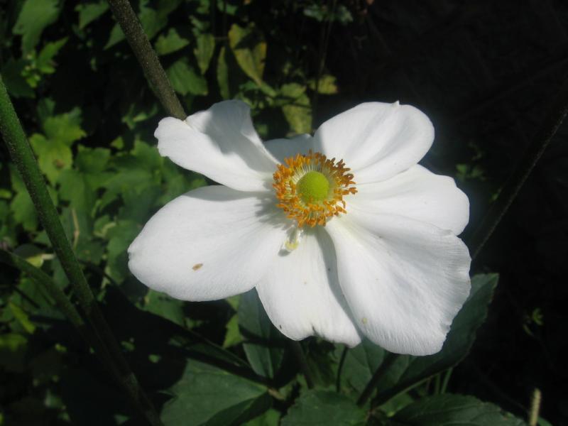 023