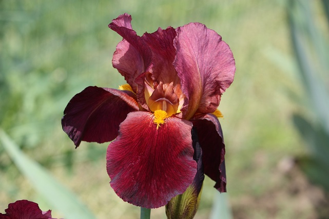 025