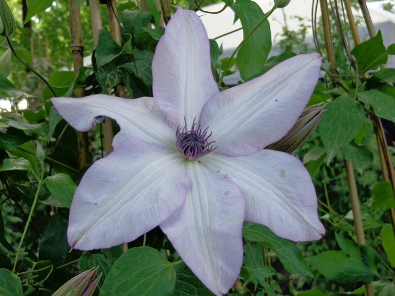 027