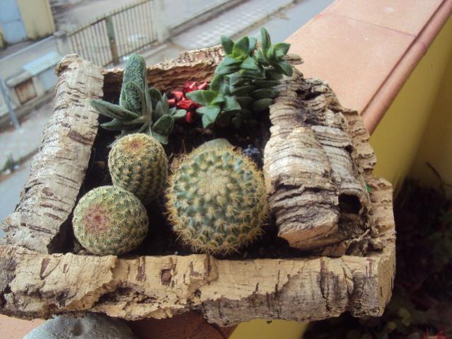 11 giugno 2012 010