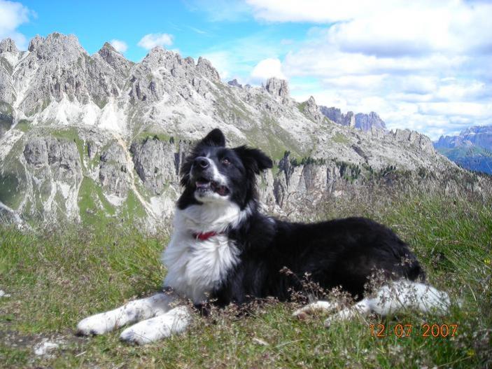 12 luglio 2007. maya ha quasi 7 mesi. vacanze in trentino. vigo di fassa