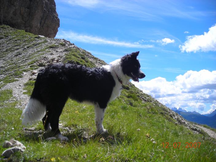 12 luglio 2007. maya ha quasi 7 mesi. vacanze in trentino. vigo di fassa