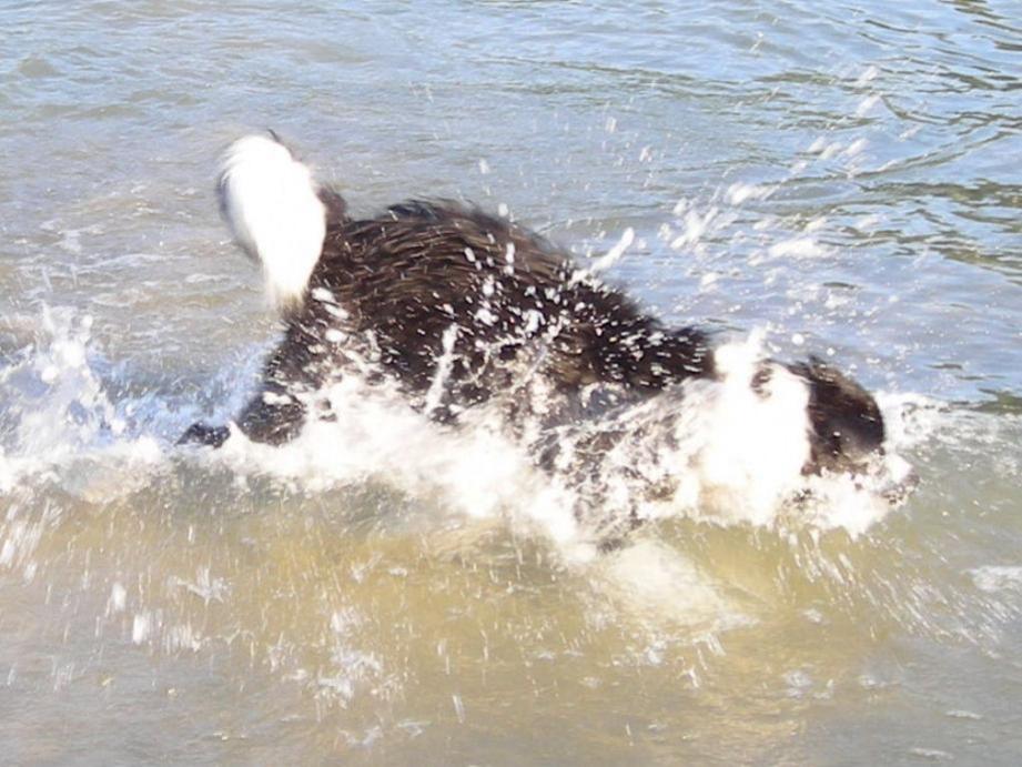 13 luglio 2007. maya ha 7 mesi. si diverte con le onde del lago di garda