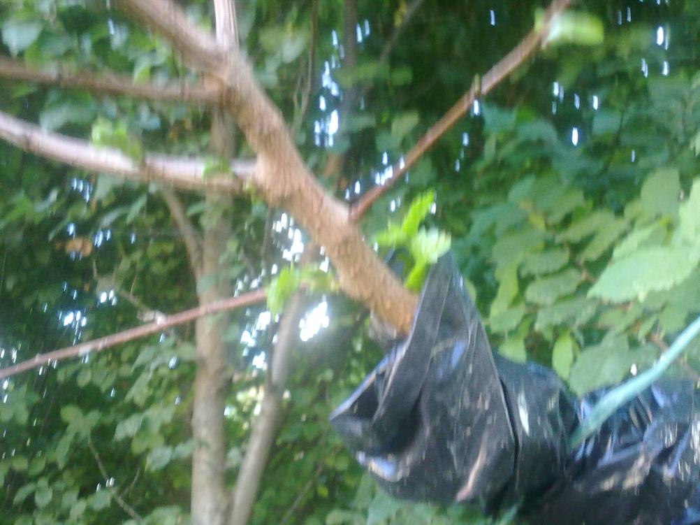 20092010026
