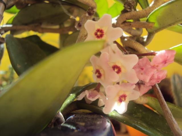 2012 048