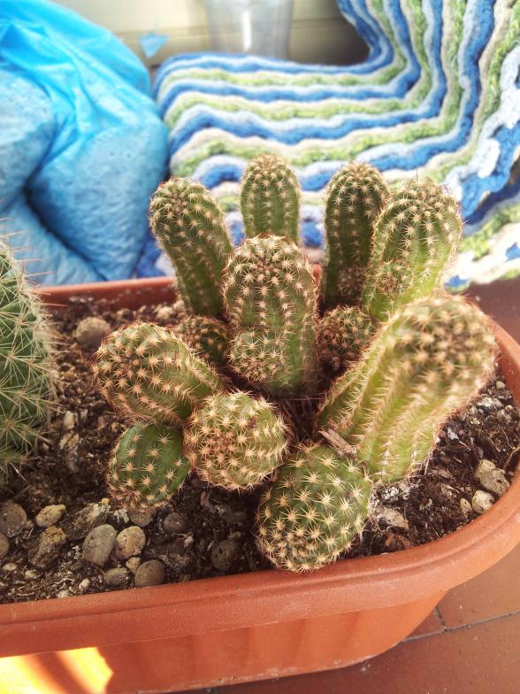 20130214 104539
