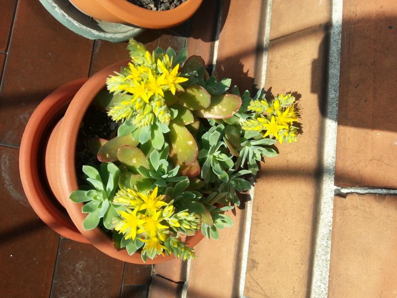 20130407 173202