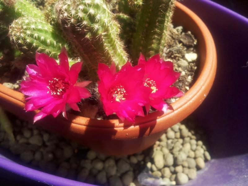 20130526_134542.jpg