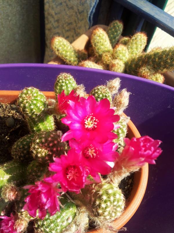 20130605_104643.jpg