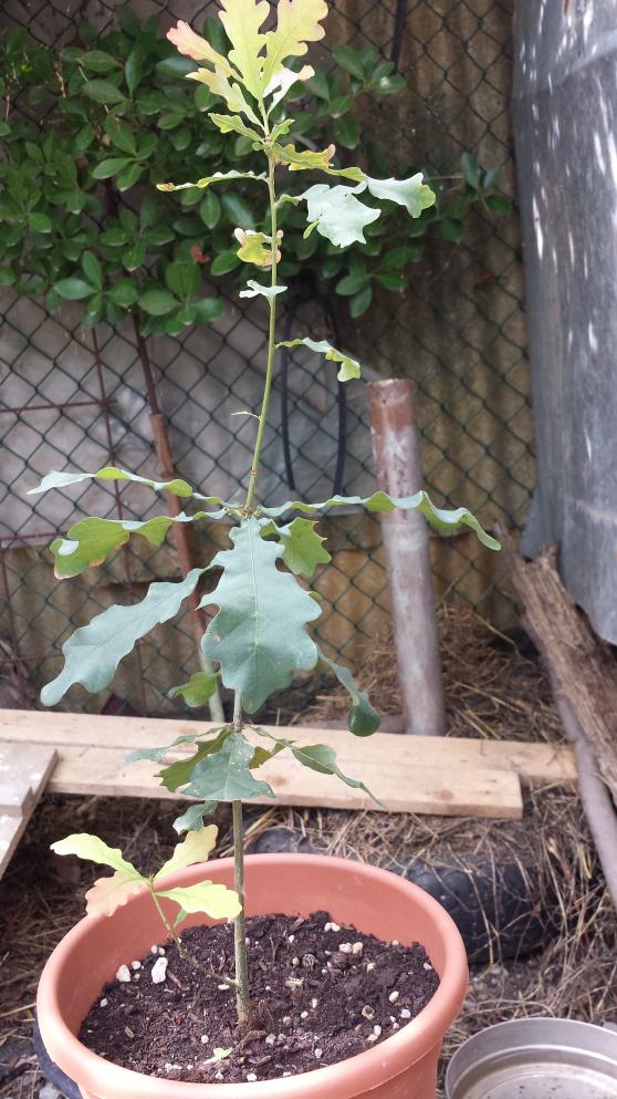 20130823 144241