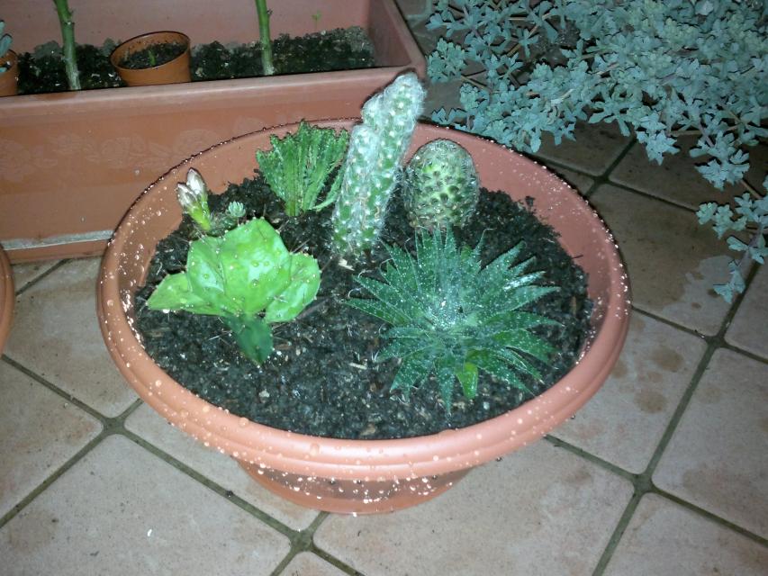 2014 04 14 1352
