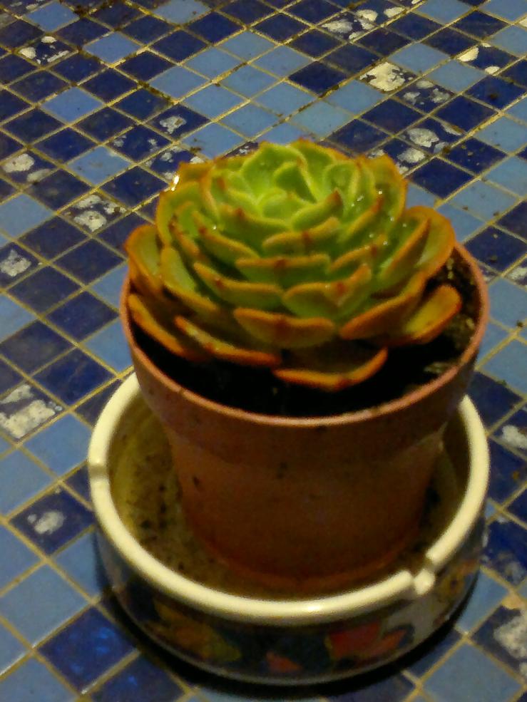 2014 04 14 1357