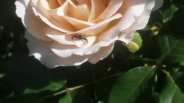 20150517 092110