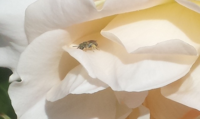 20150517 120903
