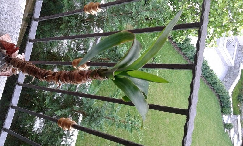 20160708_071110