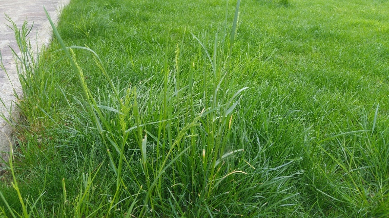 20170407_162655