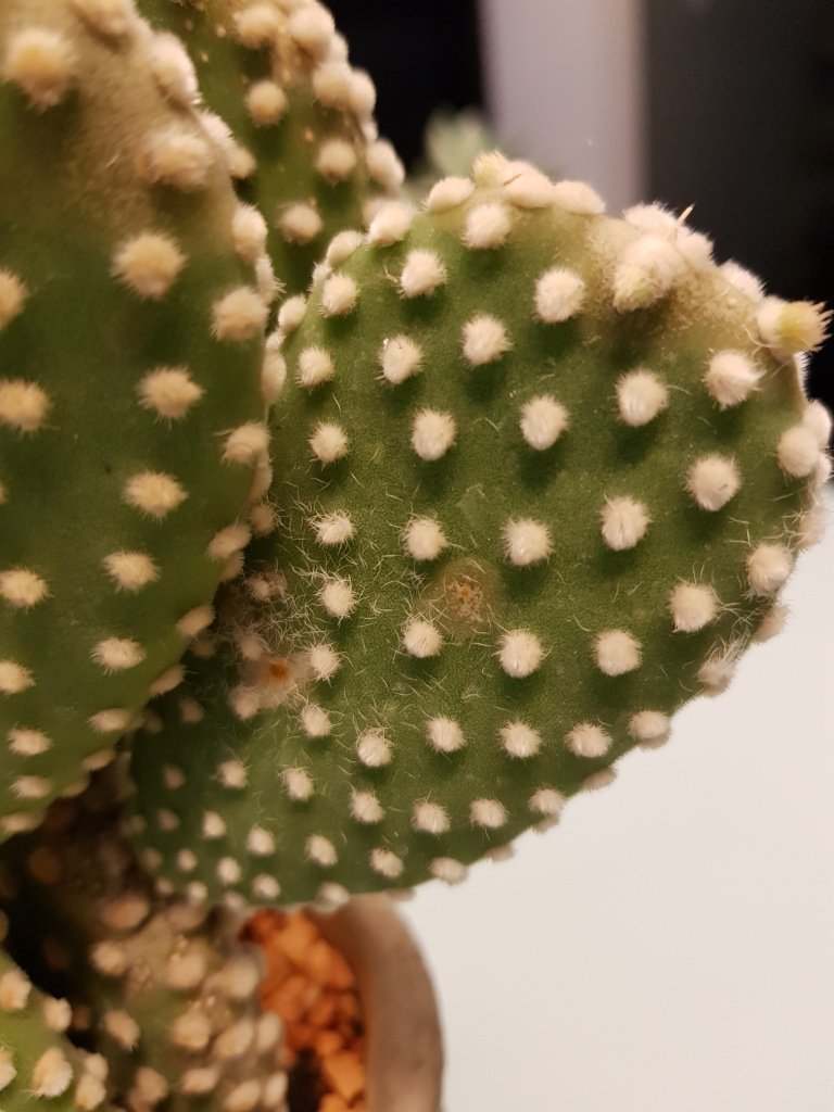 20180322_085701