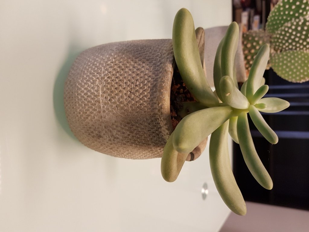 20180322_085712