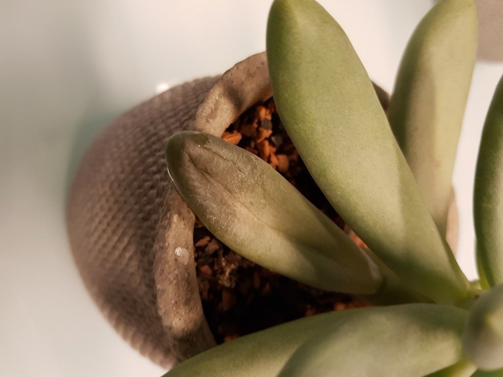 20180322_085717