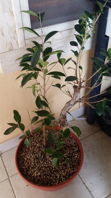 20190415_165928_800x450