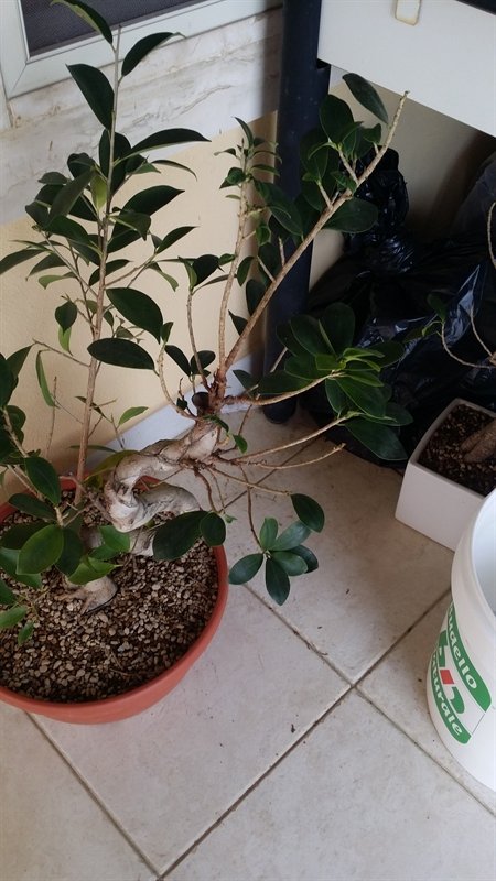 20190415_165944_800x450