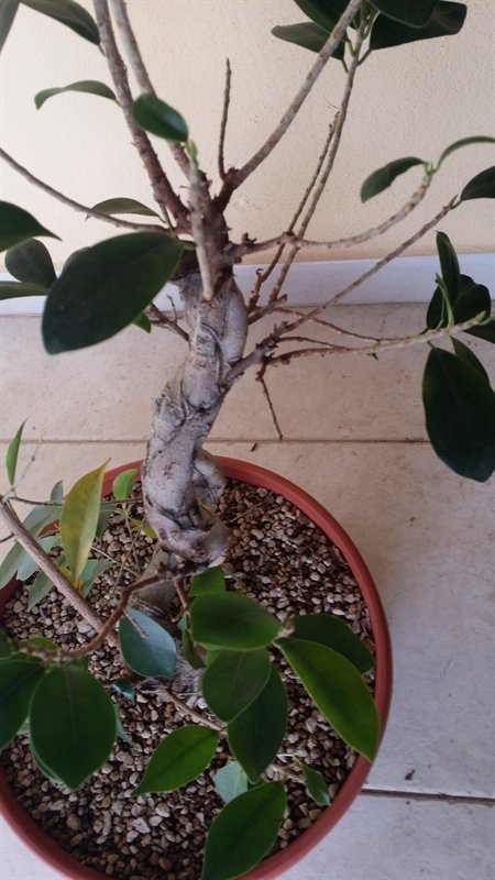 20190415_170118_800x450