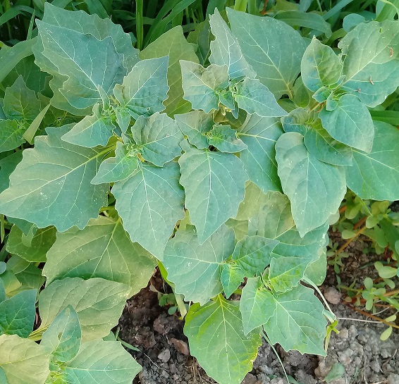 20190626_102612 (2)