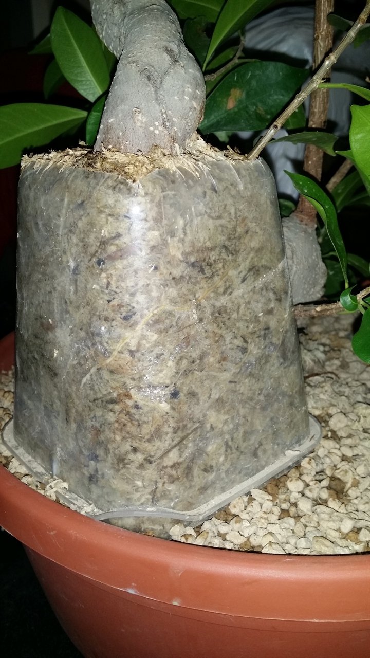 20190628_235728_1280x720