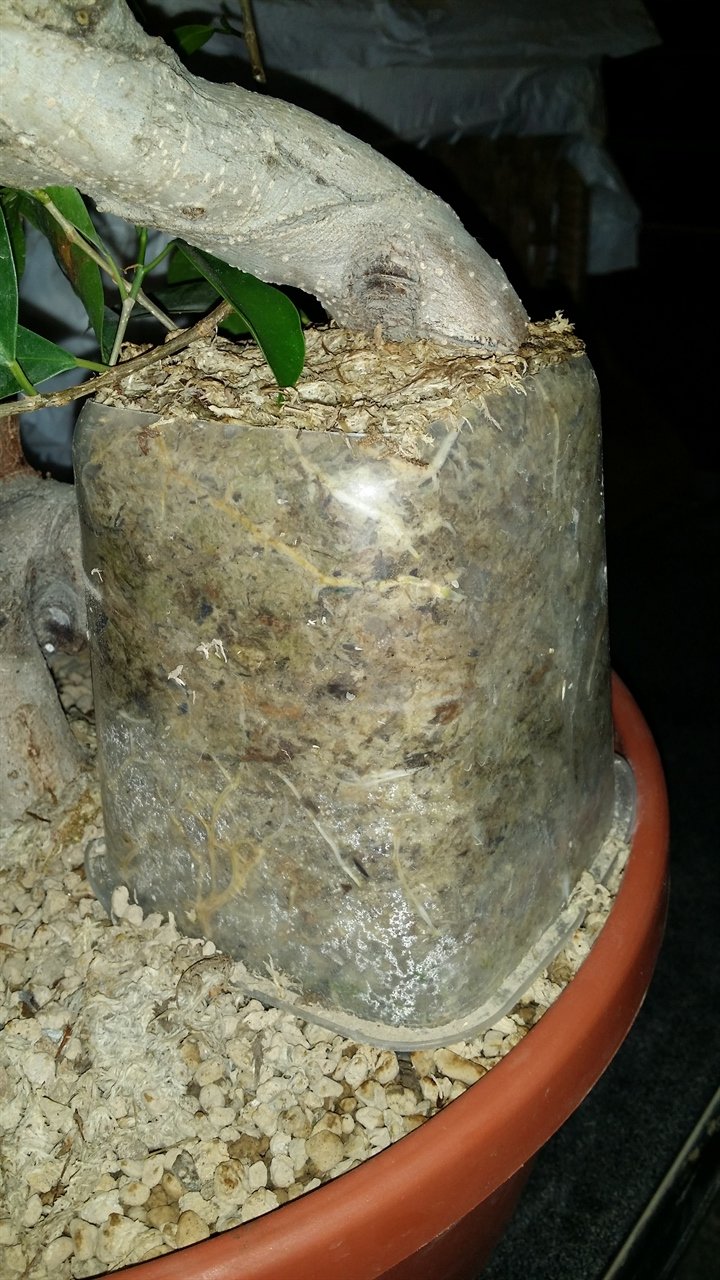 20190629_000047_1280x720